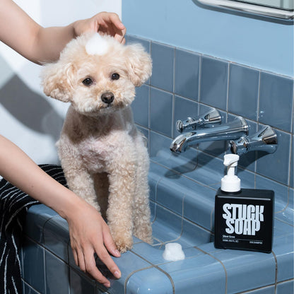 Vegan Dog Shampoo Premium K-Beauty Inspired Gentle Dog Shampoo for Sensitive Skin with Green Tea, Camellia Oil & Centella Asiatica, Elegantly Scented, Natural Pet Wash (Blush Garden)