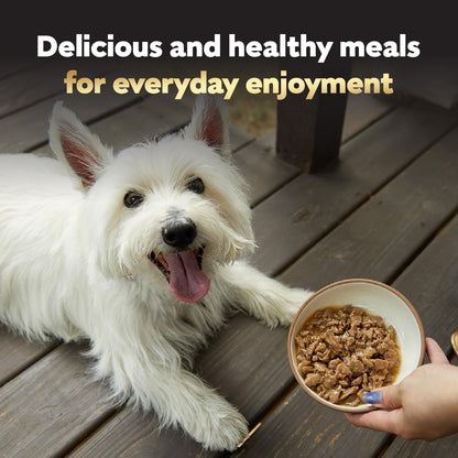 Cesar Filets in Gravy Adult Wet Dog Food Variety Pack, Filet Mignon, New York Strip and Prime Rib Flavors, 3.5 oz. Easy Peel Trays, Variety Pack of 24