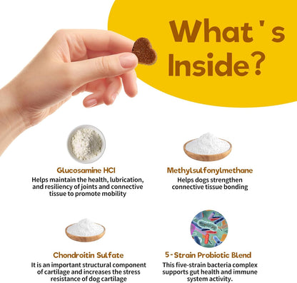 Daily Multivitamin for Dogs – Glucosamine Chondroitin, Probiotics & Omega Fish Oil – Supports Hip & Joint, Skin, Coat, Allergy & Immune Health – Vet Approved Chicken Chews, 90 Count