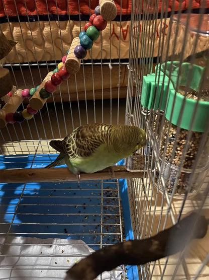 Clpoawc Bird Water Dispenser Outdoor No Mess Automatic Feeder,Parakeet Waterer for Cage,Food Container Bird Cage Accessories Hanging Outside for Lovebird Canary Finch Small Birds (2Pcs), Clear