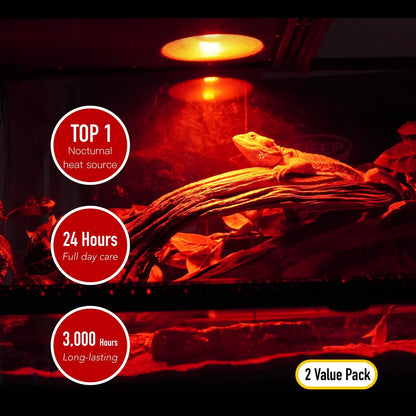 Reptile Heat Lamp, 2 Pack 75W Intense and Infrared Basking Bulbs Light for Reptiles, UVA Daylight Night Red Basking Light for Bearded Dragon, Lizard, Gecko,Reptile Heat Bulb