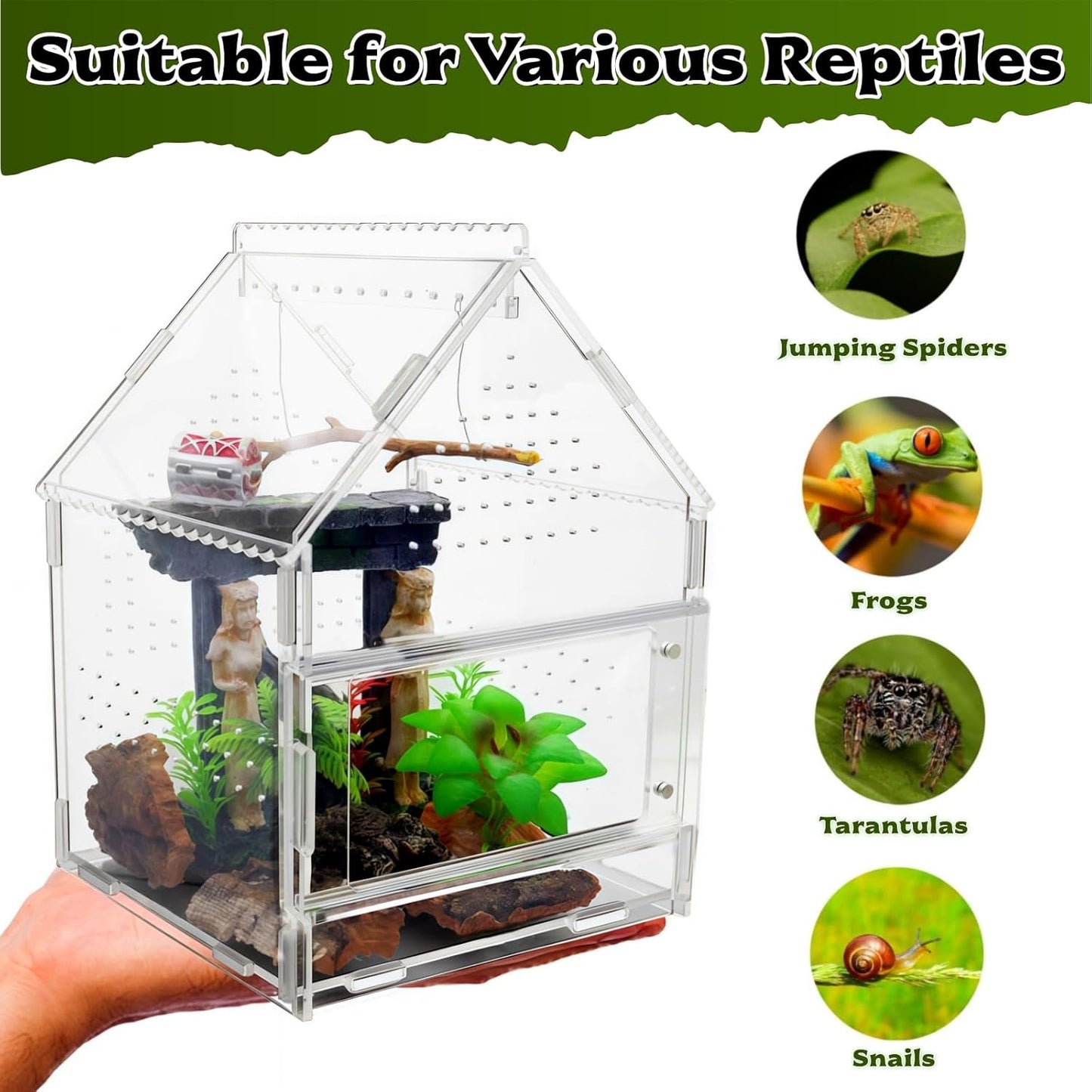 Acrylic Jumping Spider Enclosure with Magnetic Front Door - 360° View Reptile Terrarium for Tarantulas, Insects Hermit Crab - Includes Hanging Beam & Escape-Proof Ventilation (7.87x5.9x5.9 Inch)
