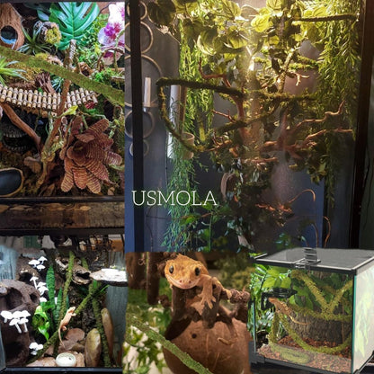 Moss Vine for Reptiles, Bendable Climbing Vines Reptile Tank Accessories, Natural Moss Rope for Leopard Gecko, Lizard, Snake, Chameleon, Frog Terrarium Decor (Jungle Green, 6.5 FT)