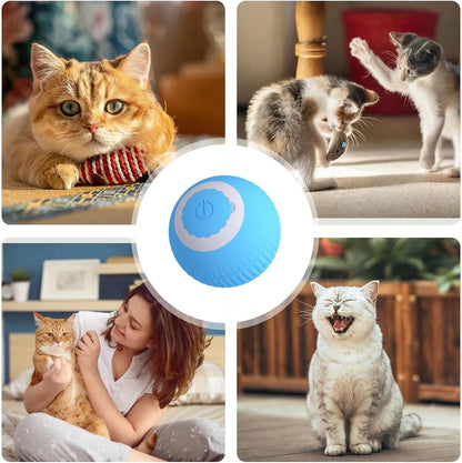 Interactive Cat Ball Toy, cat toy ball roller, Active Rolling Ball for Dogs, Bouncing Rolling Ball, Activated Rolling Ball, 360 Degree Rotating Ball, USB Charging Pet Toy for cats