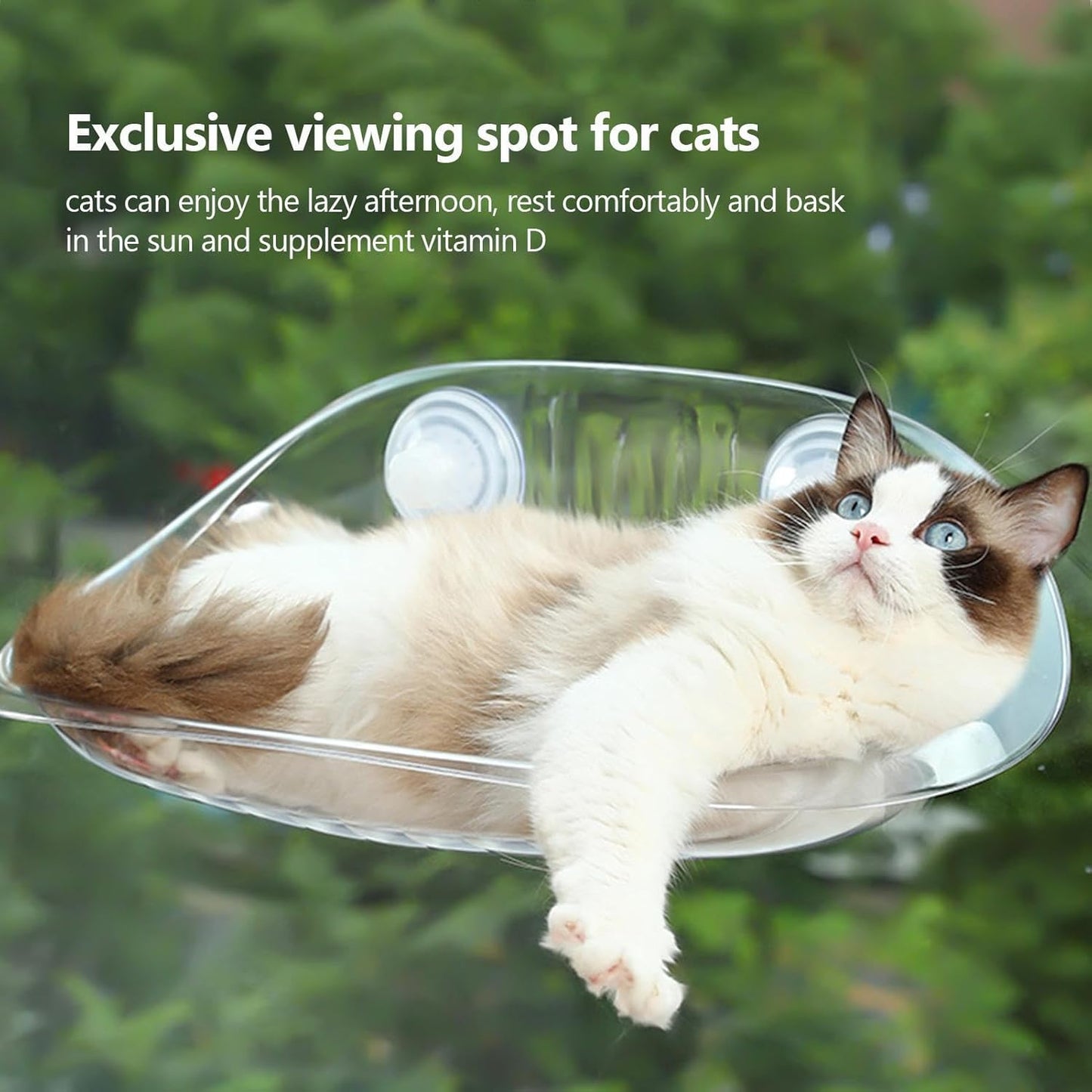 Cat Wall Shelf Furniture for Sleeping - Transparent Hammock Bed with Suction Cups, Spatial Rescue of Pet Lounger | Raised Cat Rest for Climbing and Playing | Floating Furniture