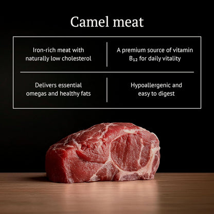 Freeze Dried Raw Dog Food, 100% Camel Meat, Allergy Relief, Monoprotein, Training Treats, Single Ingredient, for Puppies, Adults and Seniors, 3.17 oz Bag (3.17 oz, Pure Camel Meat)