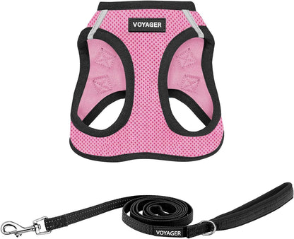 Best Pet Supplies Voyager Step-in Air All Weather Mesh Harness and Reflective Dog 5 ft Leash Combo with Neoprene Handle, for Small, Medium and Large Breed Puppies - Pink Base, XXS