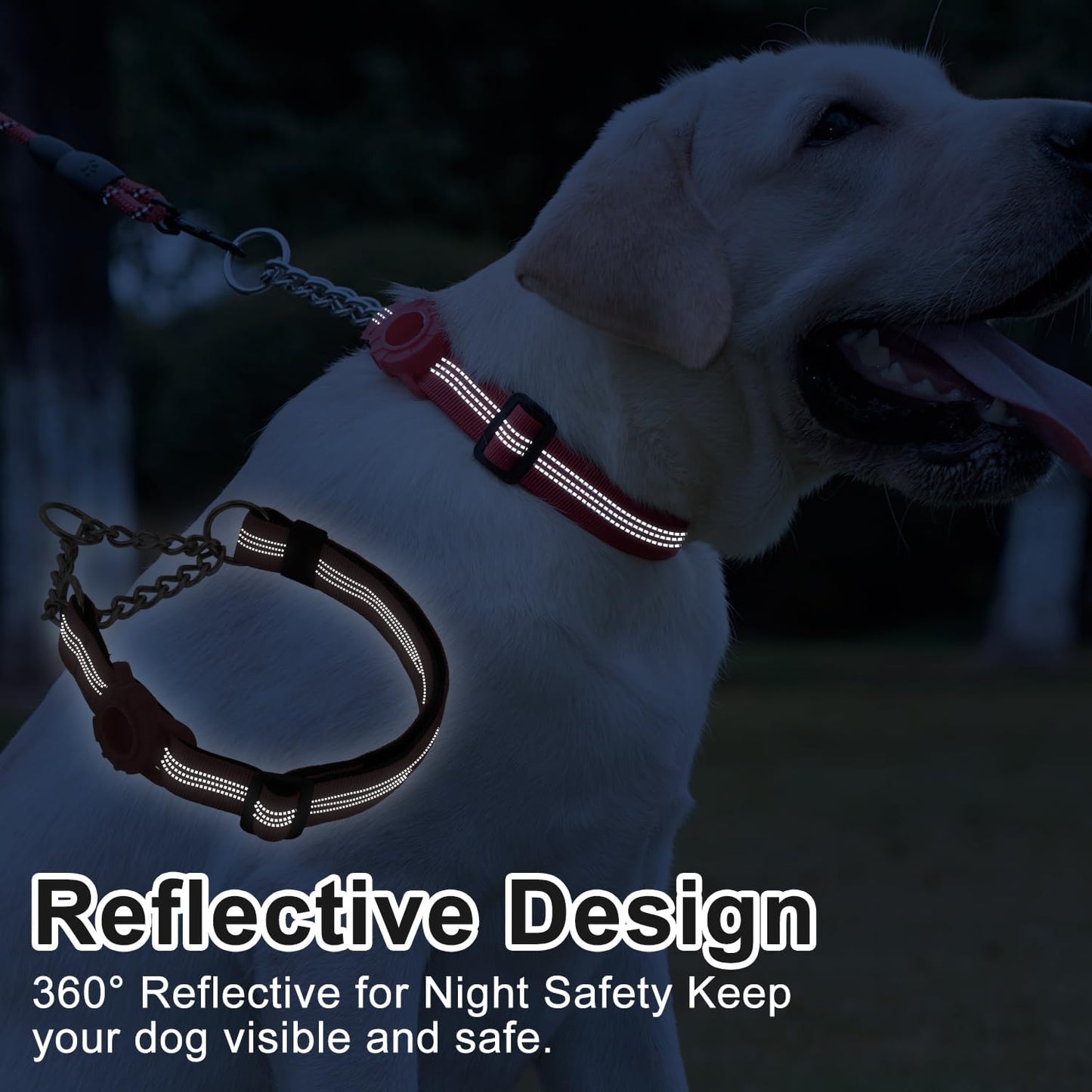 Cymiler Martingale Dog Collar with AirTag Holder, Reflective Nylon Training Collar, Stainless Steel Chain, Heavy Duty Buckle, Limited Slip Collars for Small Medium Large Dogs (Purple, Large)