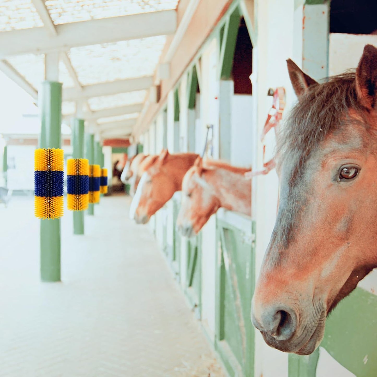 2 Pcs Livestock Scratch Brushs, Cattle Brush Relieves Itching and Cleansing Massage Brush Kit, Cattle Supplies Suitable for Cows, Horses, Sheep & Pigs with 2 Screws