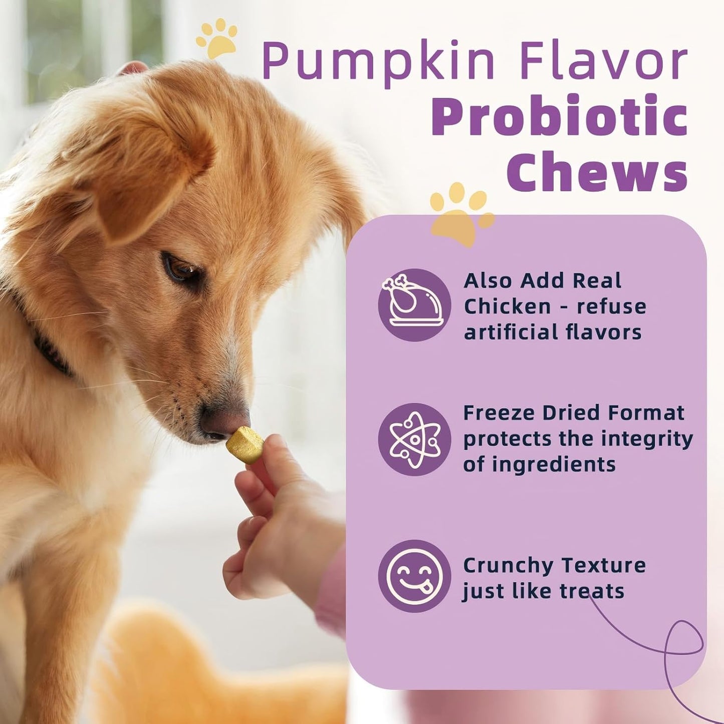 ZEBORA Pumpkin Powder for Dogs, Probiotics for Dogs Freeze Dried Chews Pumpkin Flavor