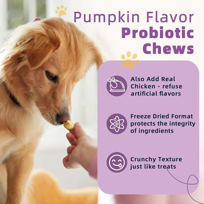 ZEBORA Pumpkin Powder for Dogs, Probiotics for Dogs Freeze Dried Chews Pumpkin Flavor