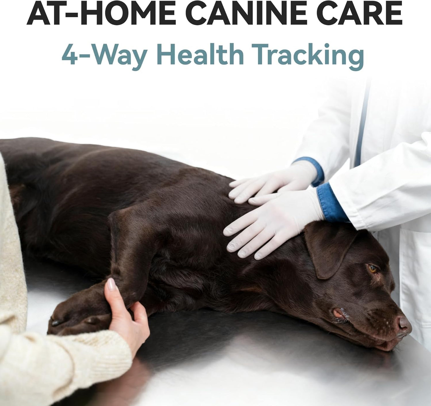 Home Check 4-in-1 Dog Wellness Kit 2 (Pack)