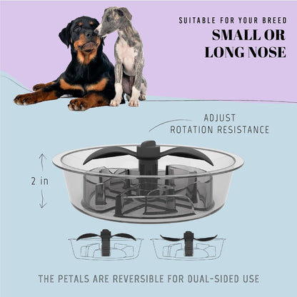 AVERYDAY Slow Feeder Dog Bowls for Medium Breed, 1.5 Cups Deep Food Puzzle Bowl with Spinning Slow Feeder Insert, Non-Slip Bottom, Fits for Raised Stand, Hard Maze Design for Small and Medium Dogs