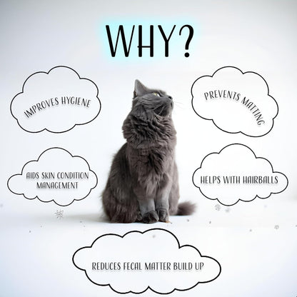 2 in 1 Cat Butt Trimmer & Vacuum, Low Noise Vacuum Suction, 2-Speed Quiet Pet Groomer, USB Rechargeable