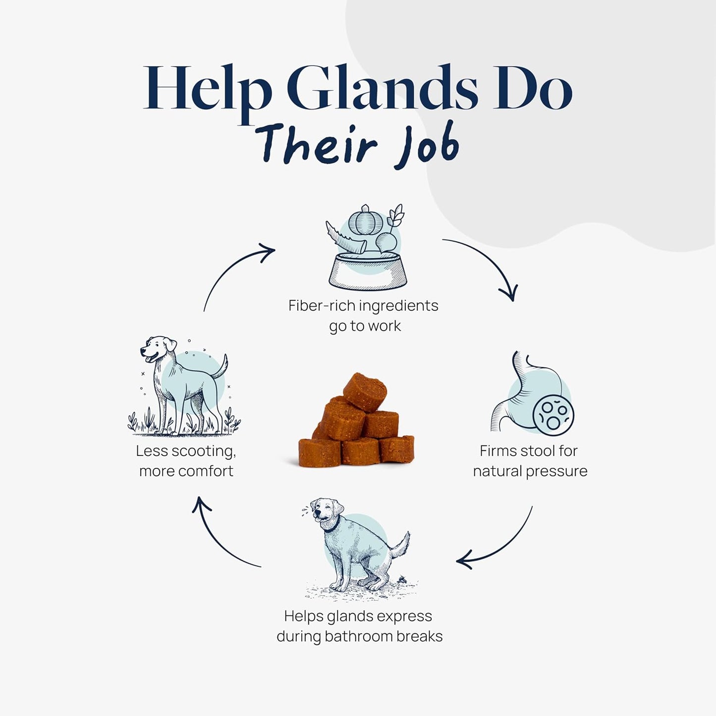 Veterinary Formula Anal Gland Support for Dogs – Vet-Formulated No Scoot Chews with Pumpkin, Ginger, Agave Inulin & Probiotics – Supports Scooting, Stool Quality & Digestive Health, 60 Soft Chews