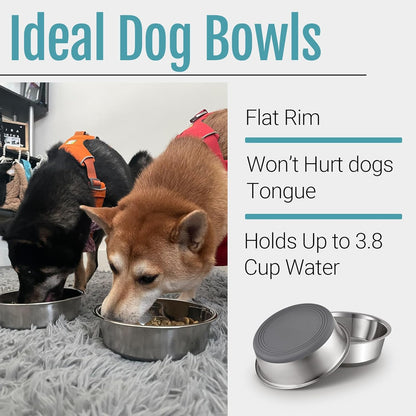 PEGYY11 Nonslip Stainless Steel Dog Bowls, 3.8 US Cup, 2 Count
