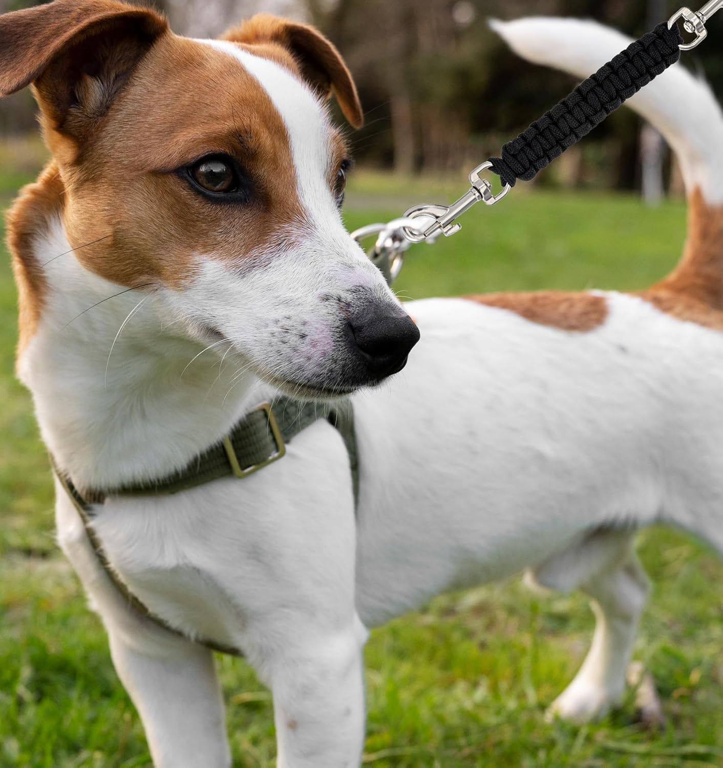 Safety Clip for Prong Collar, 8 Inch Handmade Dog Safety Clip for Walking Training or Hiking, Backup (Black)