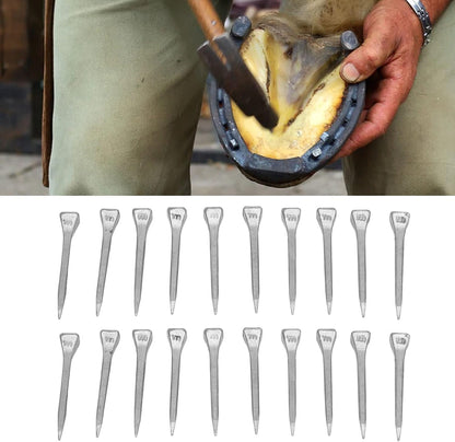 250 Pcs Horseshoe Nails High Tensile Strength Good Elasticity Accurately Crafted Steel Horse Shoe Nails for Farrier Use (FJ0RACE)