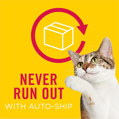 Purina Friskies Gravy Swirlers with Flavors of Chicken, Salmon and Gravy Dry Cat Food - 22 lb. Bag