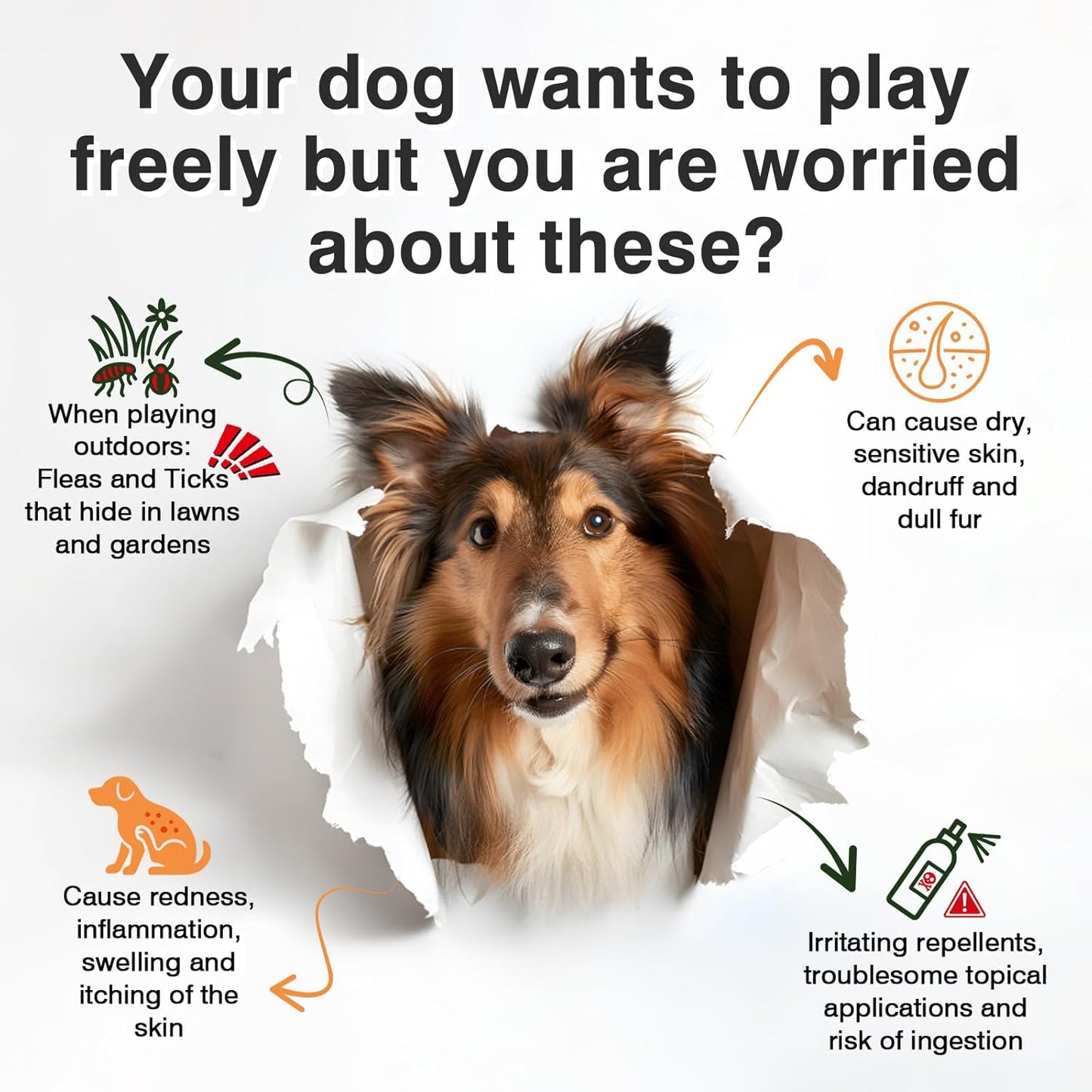 Dog Flea and Tick Prevention Allergy Chews Omega 3 for Dogs Treatment Chewable Natural Flea and Tick Skin and Coat Supplement Immune Dog Chews Yeast Relief Prevention for Dogs Itching and Licking