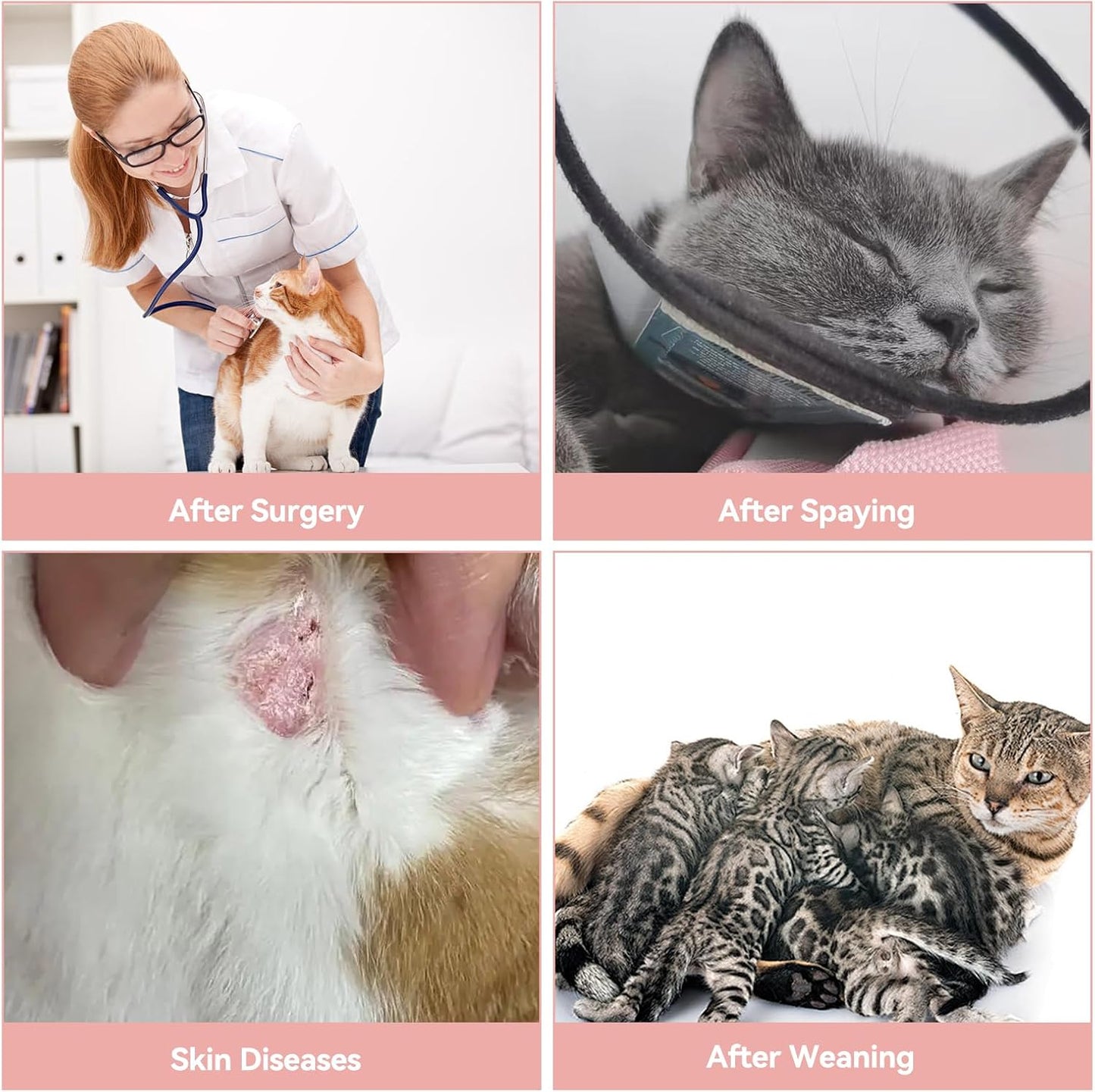 3 PCS Cat Recovery Suit for Spay Abdominal Wounds Female, Cat Onesie for Cats After Surgery, Pet Surgery Recovery Suit Kitten Onesie for Cats Anti Licking