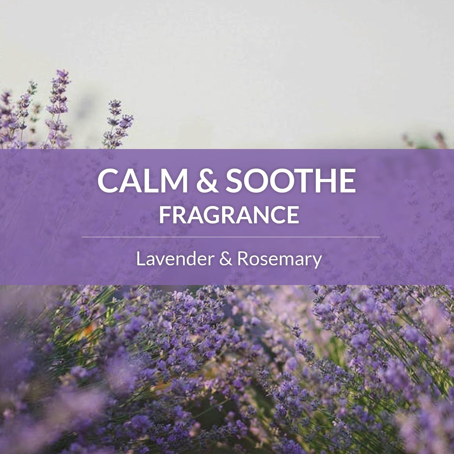 Skout's Honor Probiotic Dog Shampoo & Conditioner with Avocado Oil & Omega-3s, 97% Natural, Paraben & Sulfate-Free, Cruelty-Free, 16oz, Lavender