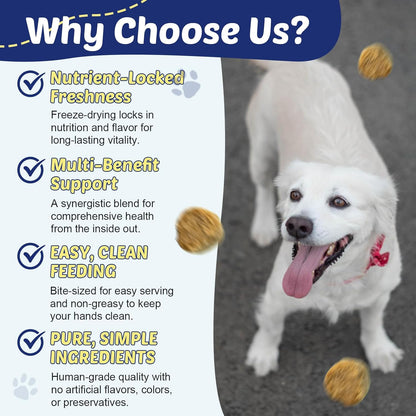 ZEBORA Glucosamine for Dogs, Omega 3 Fish Oil for Dogs Skin and Coat