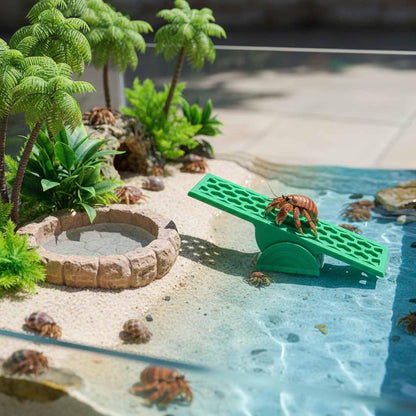 Hermit Crab Seesaw
