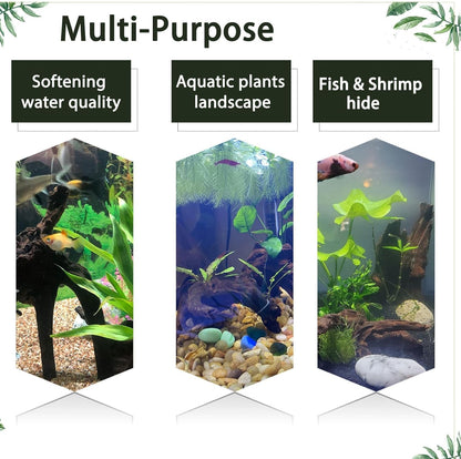 Tfwadmx Aquarium Natural Driftwood Decor Wood Branches, 2 Pieces 8.5-12" Fish Tank Driftwood Decoration, Terrarium Mopani Wood for Aquarium Freshwater Reptile Tank