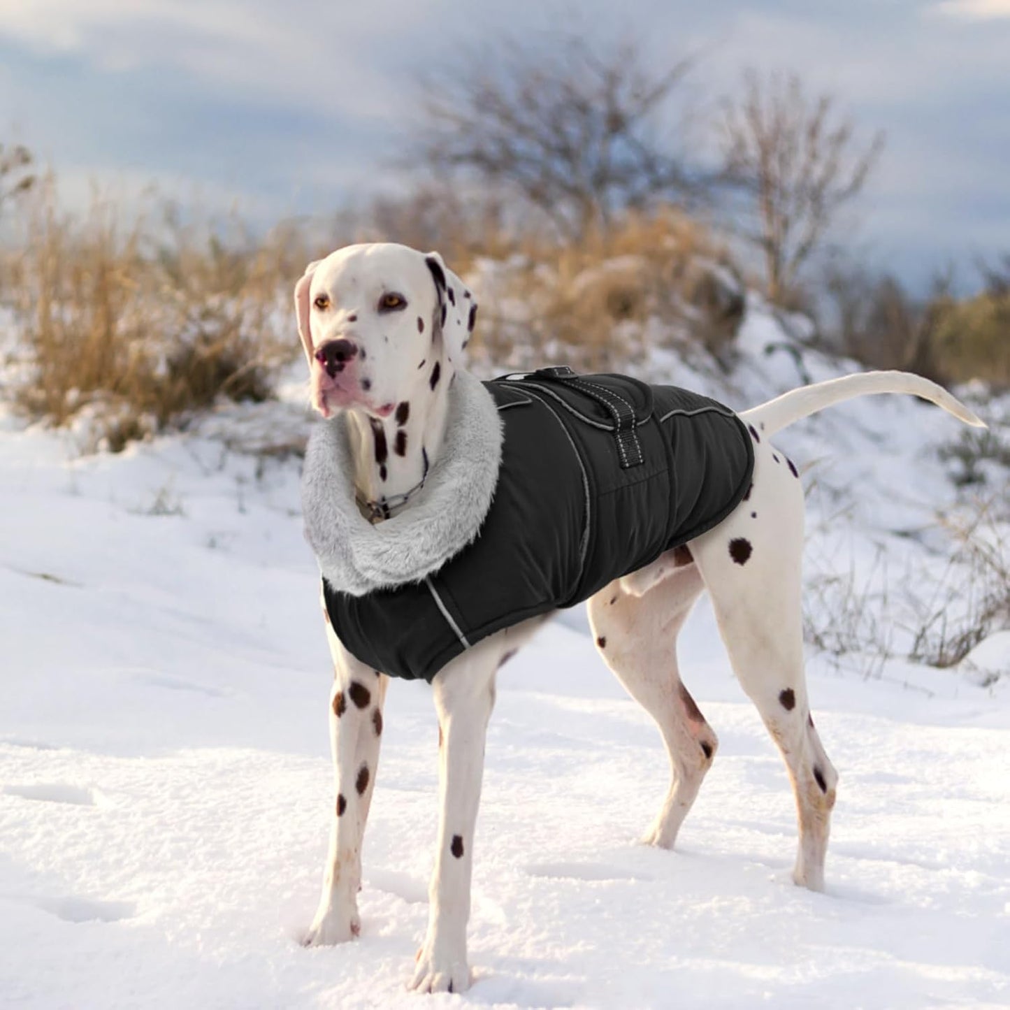 Lelepet Warm Dog Coats for Large Dogs Waterproof Dog Jacket Reflective Pet Fleece Vest Windproof Cold Weather Coats with Adjustable Buckle & Leash Hole, Black, XL