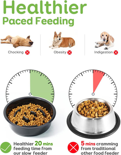 Pawque Elevated Slow Feeder Bowls - Adjustable Raised Dog & Cat Bowl with 3 Heights (6.1", 7.7", 9.3") for Medium & Small Pets, Mess Proof & Non-Slip Dish Feeder