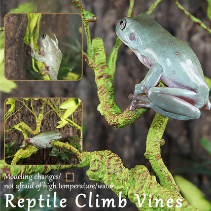 Hamiledyi Reptile Plants Bendable Jungle Climbing Vine Terrarium Branch and 4 Pcs Humid Hide for Leopard Gecko Moist Reptile Hide Box for Bearded Dragon Lizard Gecko Frog Snake