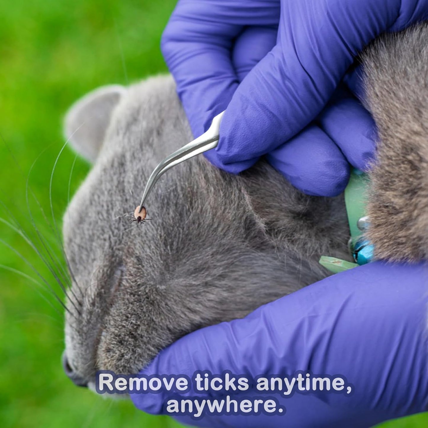 Quacc 2 PCS Tick Removal Tool Kit for Dogs Cats Humans Stainless Steel Tick Remover Tweezers with Storage Box