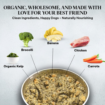 Healthy Dogma PetMix Chicken Dinner 2lb Bag, Natural, HD-3005