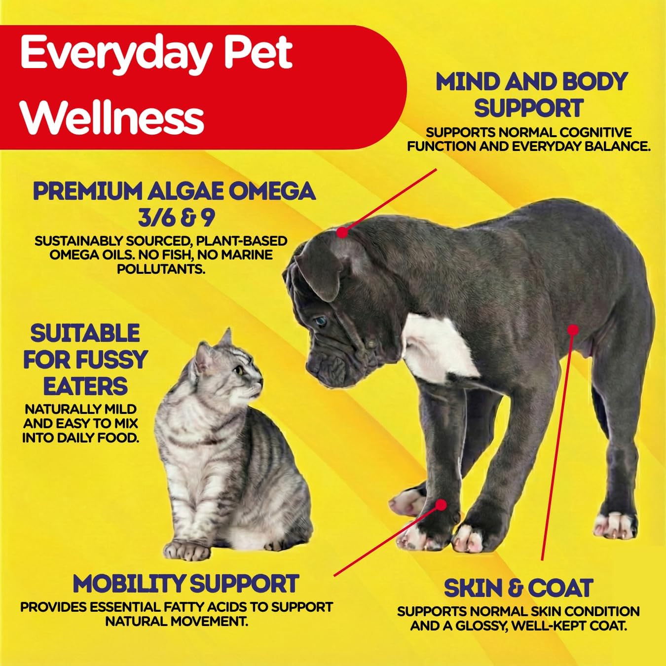 PetJesty Pure Omega 3 Oil for Dogs & Cats 26.39oz - Omega 3 Skin & Coat Support- Liquid Food Supplement for Pets - Vegan pet + DHA for Joint Function, Immune & Heart Health, Non Fish Oil Dog and Cat