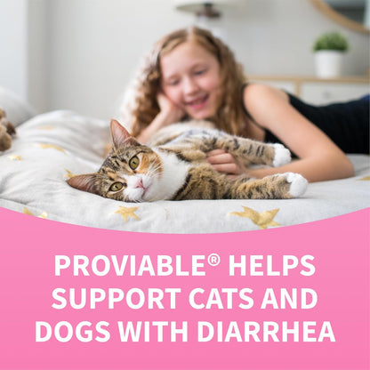 Nutramax Proviable Probiotics for Small Dogs and Cats, Diarrhea Support Kit, Digestive Health Supplement with Multiple Strains of Bacteria, Plus Prebiotics, Kaolin and Pectin, 15 ml Paste and 10 Capsules