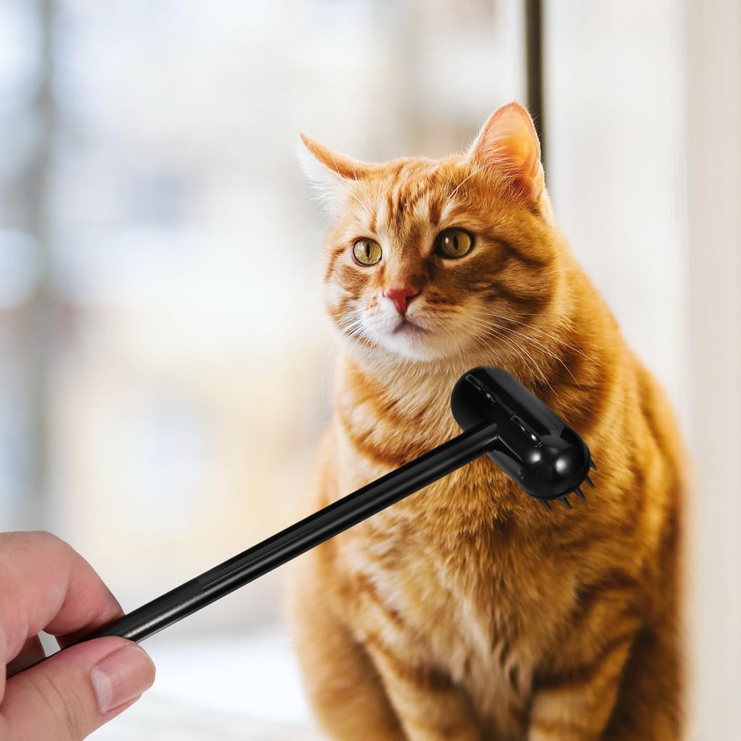 Cat Grooming Brush and Pet Massage Comb Long Handle Plastic Hair Removal Tool for Cat Shedding Care Household Use