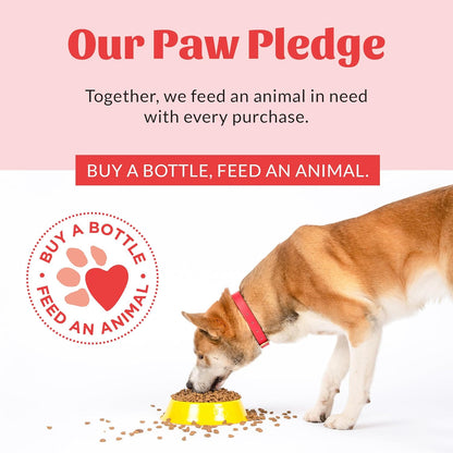 SKOUT'S HONOR Pet Stain and Odor Remover - Powerful Cleaner for Dog Urine, sweat, and other messes, Destroys and Removes Odor and Stain Molecules, Eco-Friendly Formula for Carpets and Home, 128oz