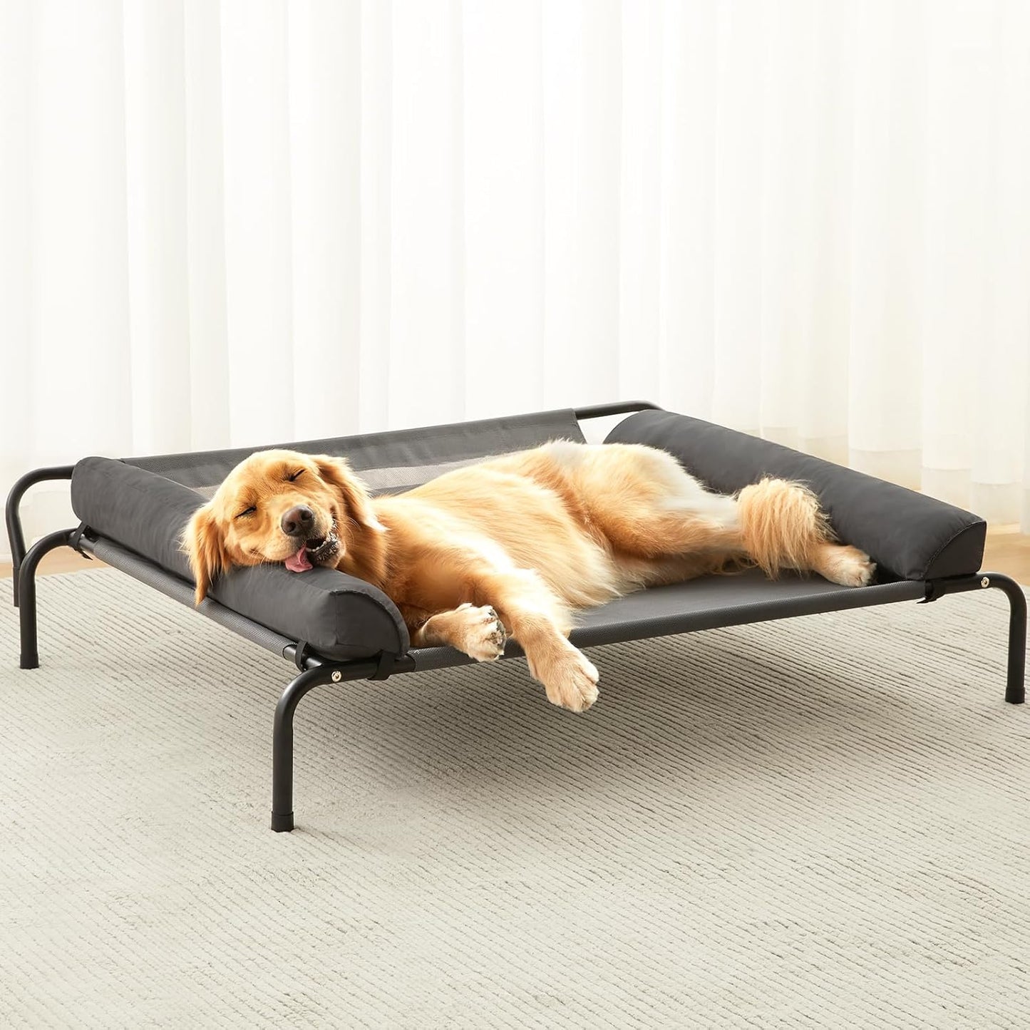 Elevated Dog Bed