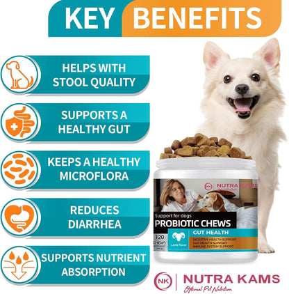 Probiotic Chews for Dogs, Natural Gut Health Support, 120 Soft Chews, Lamb Flavor, 300g