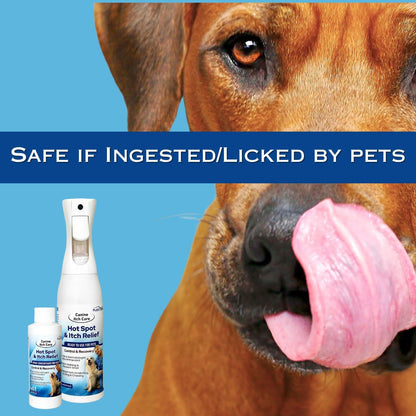 Canine Itch Care Hot Spot Spray & Itch Relief For Dogs and Cat. Remedy for Dog Itching, Dry Skin, Rash, Ringworm, Dermatitis, Itchy Paw, Irritation on Skin, Skin Allergy, Wound Care (Makes 32 oz)