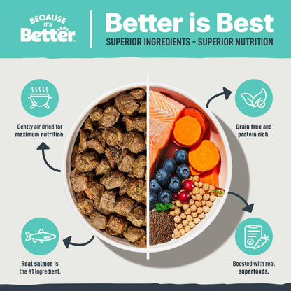 Because It's Better Slow Baked and Air Dried Dog Food, Real Salmon and Veggies, 3lb Bag, Complete and Balanced Dry Dog Food, for All Life Stages