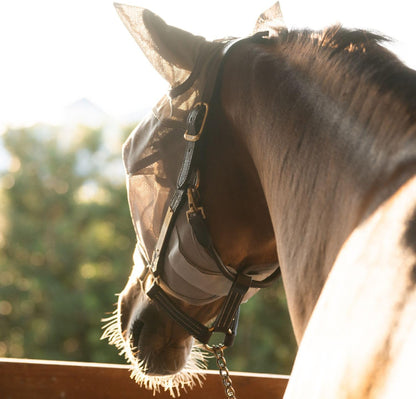 Plus-Size Horse Visor Fly Mask with Ears – 95% UV Eye Protection, Lightweight Breathable Mesh, Shields Against Flies & Dust, Built-in Visor, Adjustable Fit for Turnout & Trail Riding