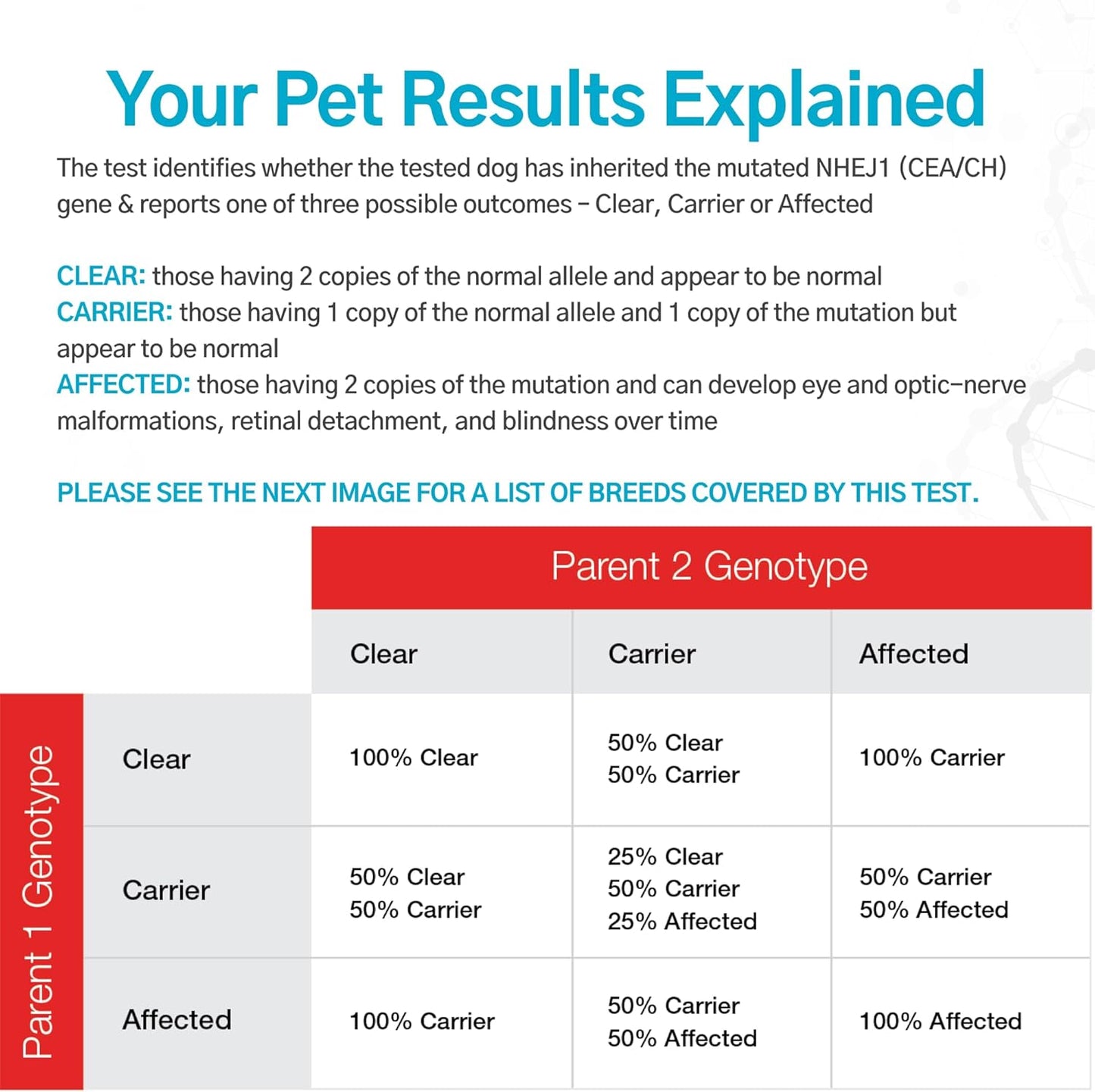 Dog Collie Eye Anomaly Choroidal Hypoplasia (CEA/CH) DNA Test | Home Sample Collection Kit for 1 Dog | Results in 7 Working Days | A Complete Kit with No Extra Fees