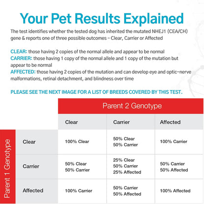 Dog Collie Eye Anomaly Choroidal Hypoplasia (CEA/CH) DNA Test | Home Sample Collection Kit for 1 Dog | Results in 7 Working Days | A Complete Kit with No Extra Fees