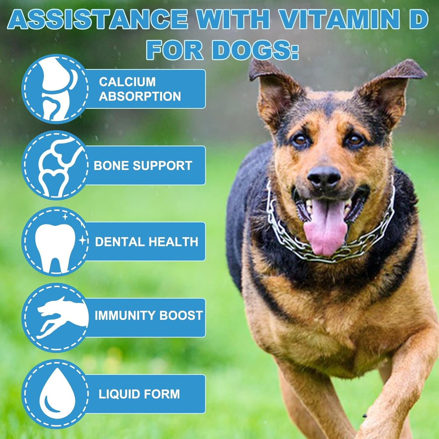Vitamin D for Dogs, Liquid Vitamin D for Dogs, Dog Vitamins D Drops Promote Calcium Absorption, Supports Immune System Hip & Joint Health and Dog Dental Health, Dog Multivitamin Supplements