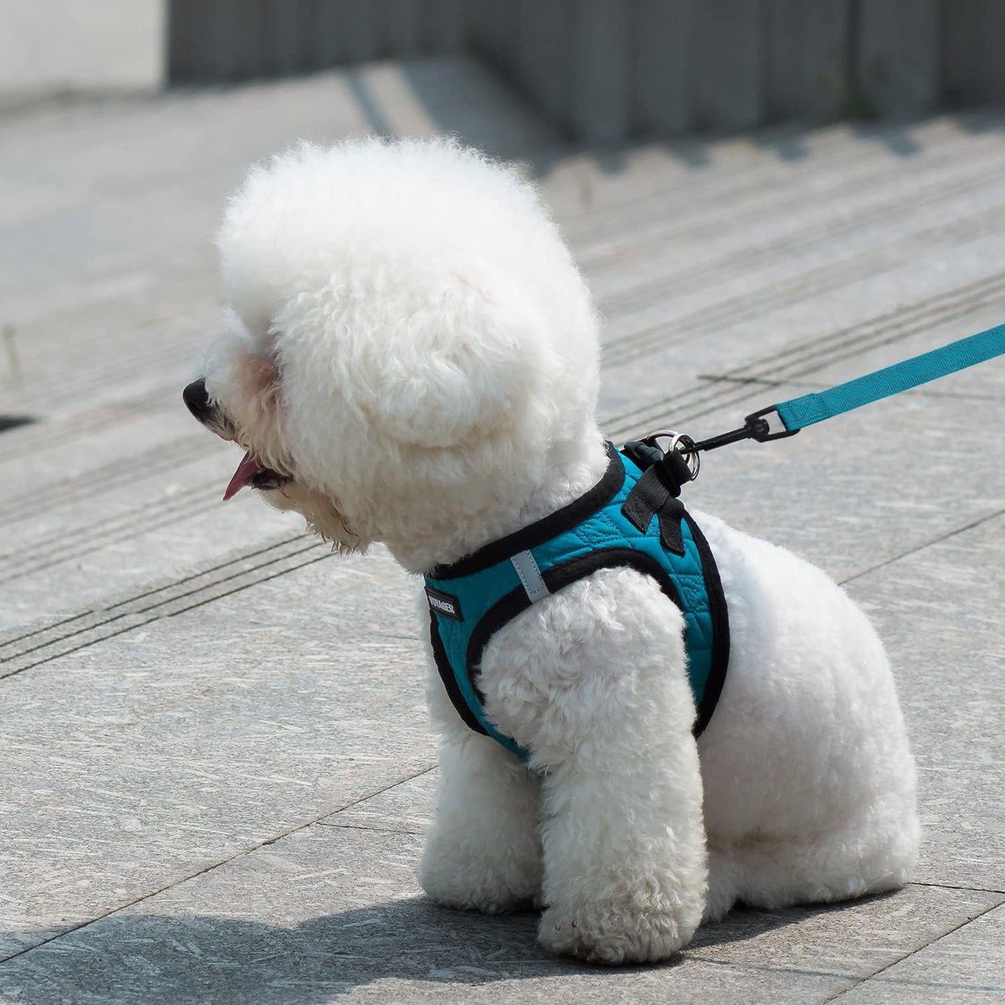 Voyager Step-in Plush Dog Harness – Soft Plush, Step in Vest Harness for Small and Medium Dogs by Best Pet Supplies - Red Corduroy (Leash Bundle), S (Chest: 14.5-16") (Pack of 2)