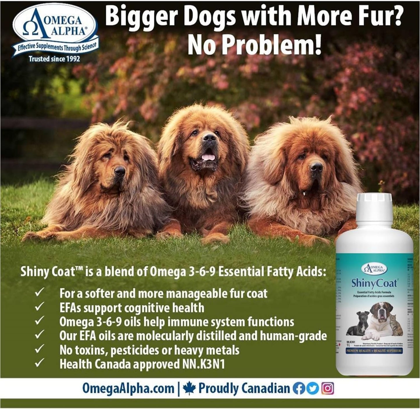 Omega Alpha Shiny Coat Equine Supplement, 1L