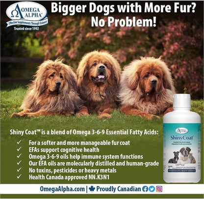 Omega Alpha Shiny Coat Equine Supplement, 1L