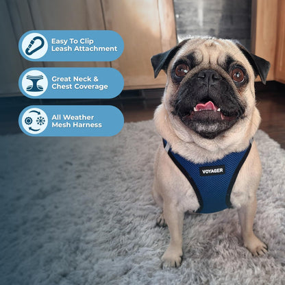 Voyager Step-in Air All Weather Mesh Harness and Reflective Dog 5 ft Leash Combo with Neoprene Handle, for Small, Medium and Large Breed Puppies by Best Pet Supplies - Blue/Black Trim, XXX-Small